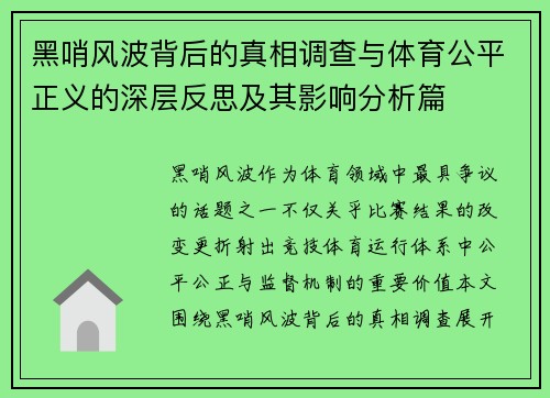 黑哨风波背后的真相调查与体育公平正义的深层反思及其影响分析篇